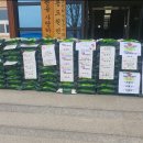 무릉도원면사무소 이미지