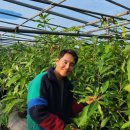 김재민농장 이미지