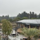 산지물호텔 | [12월 제주여행 마지막날] 스타벅스 제주금악점 ,산지물고유 ,로우하이 카페, 마마롱 카페, 잉가이 딤섬...