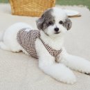 몽글몽글 이미지