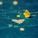 한솔농장 이미지