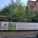 해바라기의꿈 이미지