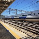 해양펜션 | 갑 여수 오션뷰 펜션 추천 [카프아일랜드 펜션] 뜰아라 내돈예약 +여수 해양 레일바이크 내돈내산 후기