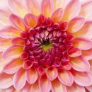 완산방-2 이미지