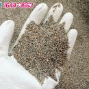 대구신흥초등학교 이미지