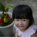 남안농장 이미지