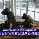 영곡마을 이미지