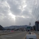 박정식농장 이미지