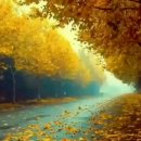 엔테오스 이미지