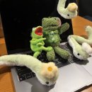 뽑아핑 외대점 네이버블로그