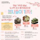 홍주한복 이미지