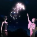 파라키스 이미지