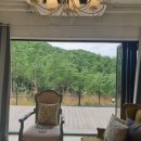 블랙트리하우스 이미지