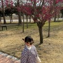 콩불충장점 | 2025년 3월 #2