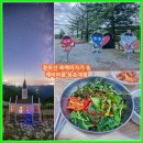 평창가볼만한곳 청옥산 깨비 마을 당일치기 농촌체험/육백마지기 무장애 나눔 길 꽃구경 11,500원 맞아?