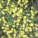 용용농장 이미지