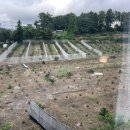 미향반점 이미지