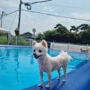 스테이 멍(STAY MUNG) 이미지