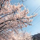 홍성 오서산공영주차장 이미지