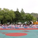 어룡태권도 이미지