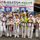 용인대 한신 태권도 이미지
