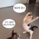 홀짝 - 속초시 | 홀짝