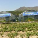 정근농장 이미지