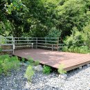 둥지캠핑장 이미지