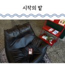 신기경로당 | 대전 공유서재 소제동 시작의 밭 프리 오픈 파티 다녀온 후기
