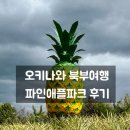 파인애플 | 오키나와 북부 여행 나고 파인애플 파크 후기(할인, 꿀팁)