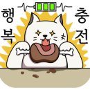 바디라이프