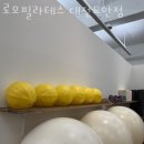 로모필라테스대전