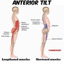 전문교육 ? RE;MAKE 양복 | [공지] [성수동 리유필라테스] 러닝과 통증의 연관성: 발 아치 붕괴가 통증을 야기하는 기전, 발목-무릎...