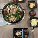 양이야기 이미지
