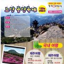 개미여행사