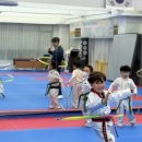 TM 태권도장 이미지