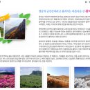 합천면가 이미지