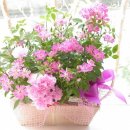 (주)곰바위 이미지