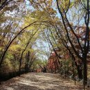 안양예술공원내 공영주차장 이미지