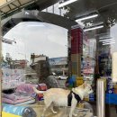 새동서약국