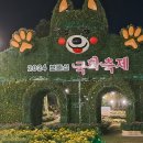 11/3일 섬진강방 출석부(보배의섬 국화축제) 이미지