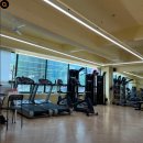 대중메디팜 이미지