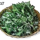 백세시대 이미지