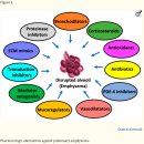 Re: asthma, bronchitis, bronchiectasis, emphysema, lung fibrosis, COPD 개념정리 이미지