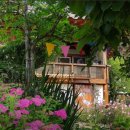 살구나무 한옥민박 이미지