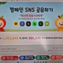 🗞'청송 사과축제' 온라인 축제부터 대박 조짐 이미지