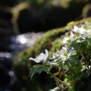 모데미풀 화장실 이미지