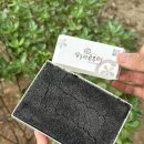 압구정 공주떡 흑임자 내돈내산 | 서울 3대 떡집 떡순이 리얼후기