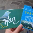 곶자왈거문오름 이미지