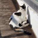 진영제2빌딩 화장실 | 새해 첫 업적: 무사히 살아남음ヽ(｡◕ܫ◕) 人(◕ܫ◕｡) ﾉ